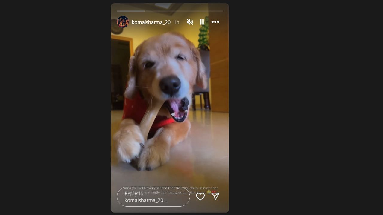 कोमल शर्मा की इंस्टाग्राम स्टोरी (photo credit: instagram/komalsharma_20)